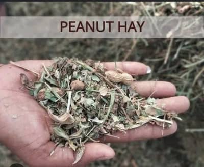 Peanut hay for  sale مونگ پھلی کا بھوسہ