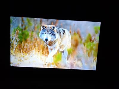 4k UHD Android LED TV 50 inch with original remote control