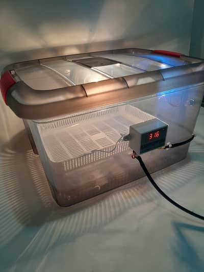 30-35 eggs capacity incubator/100% result/fresh made