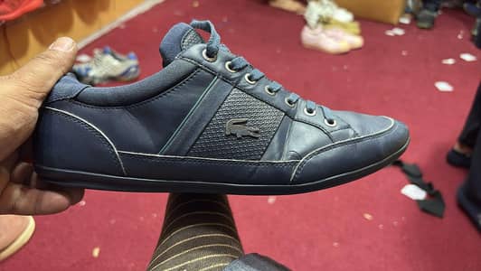 Original Lacoste shoe