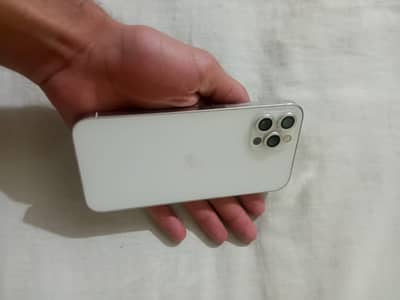 12 pro 256 gb panel change