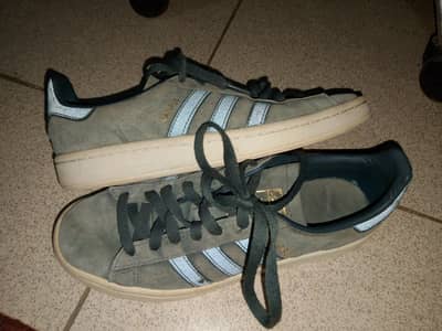 Adidas campus shoes