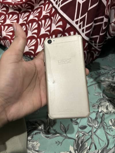 Vivoy55A