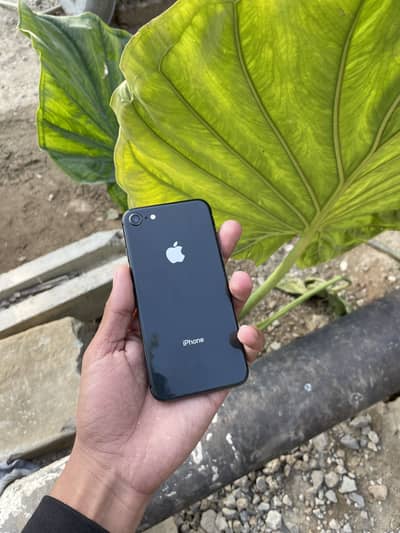 iPhone 8 Non Pta 64 Gb