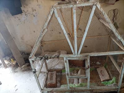 Parrot Cage and Boxs