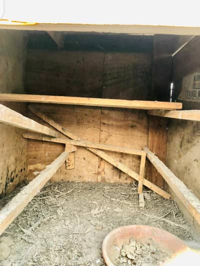 pinzra sale contact 03162233960