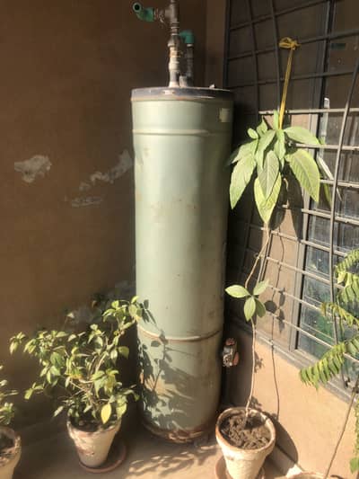 Singer Geyser for Sale