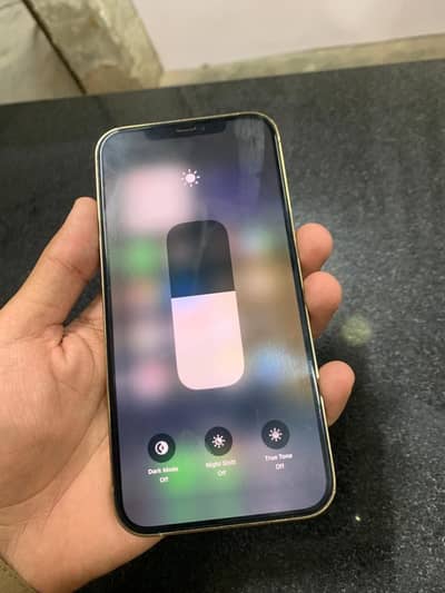 12 Pro max Pta approved