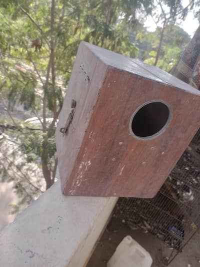 Box available for sale