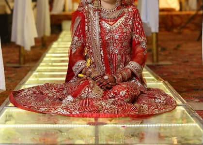 bridal red sharara