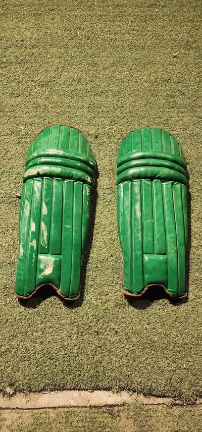 batting pads