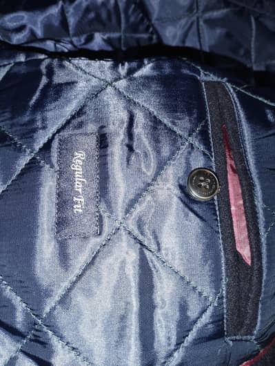 Tommy Hilfiger Overcoat  came from Holland