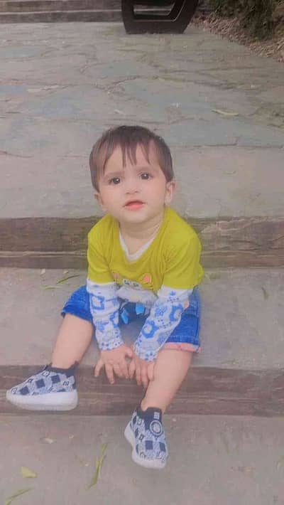 Ahmed 