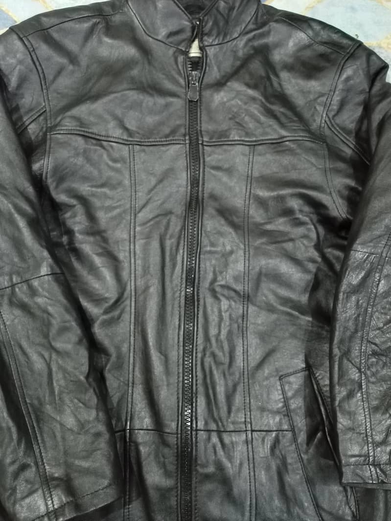 leather jacket 2