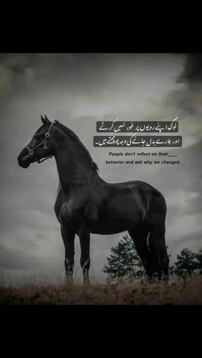 Hamza younas