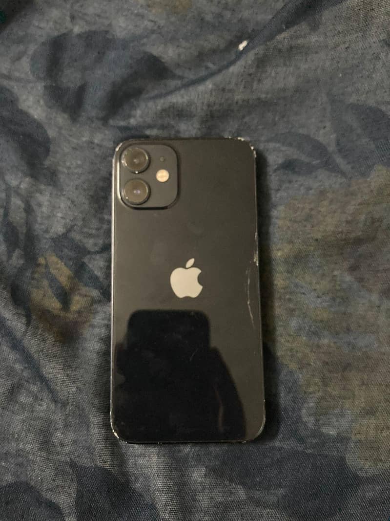 iPhone 12 mini 1
