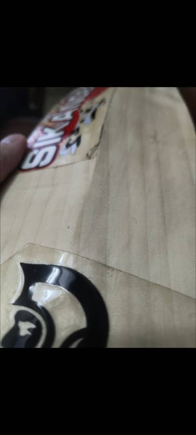 spartan sikander 1000 like hardball cricket bat