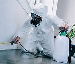 "Professional Pest Control | Termite | Cockroach | Bed Bugs | Lahore