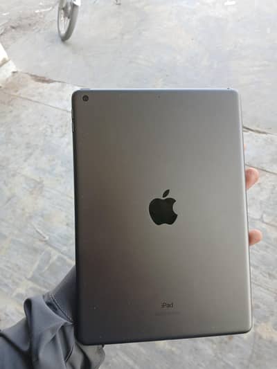 Apple iPad