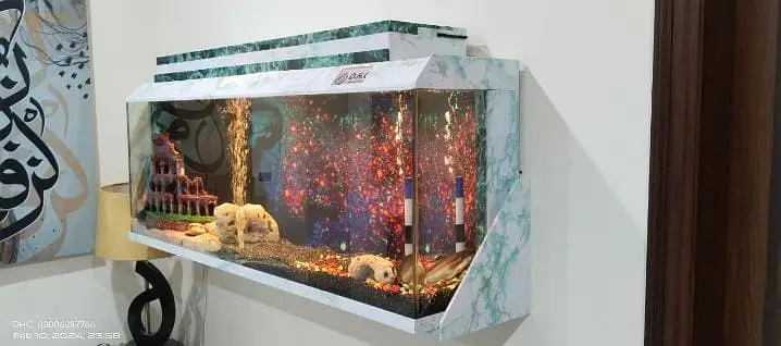 Aquariums/Aquariums For sale/Fish Aquariums/Fishes for sale — photo 2