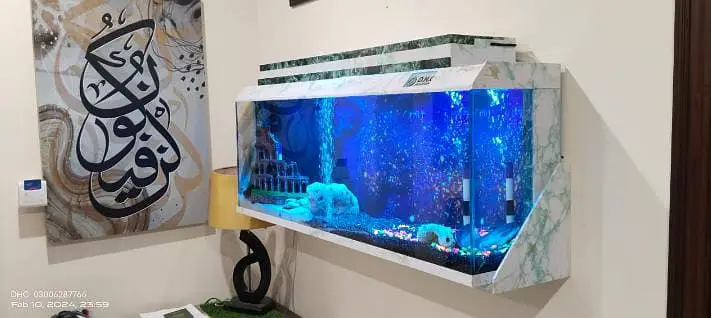 Aquariums/Aquariums For sale/Fish Aquariums/Fishes for sale — photo 3