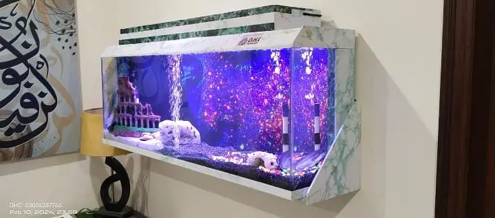 Aquariums/Aquariums For sale/Fish Aquariums/Fishes for sale — photo 7