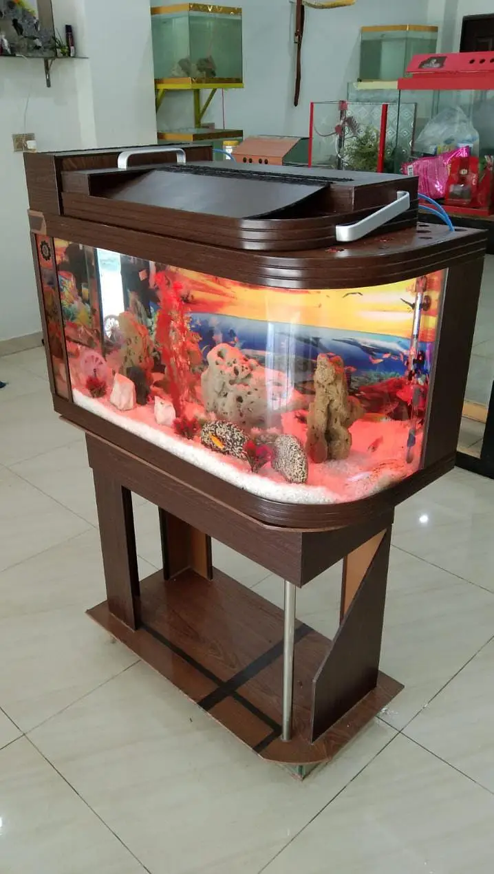 Aquariums/Aquariums For sale/Fish Aquariums/Fishes for sale — photo 9