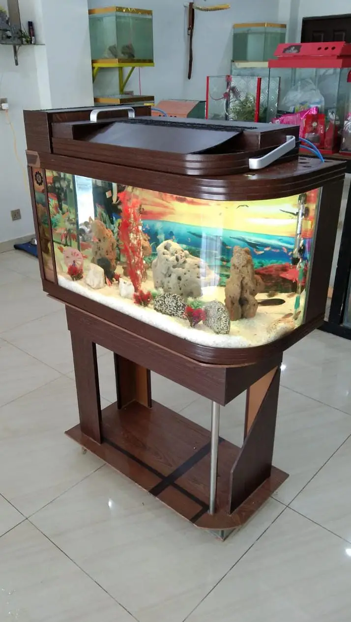 Aquariums/Aquariums For sale/Fish Aquariums/Fishes for sale — photo 10