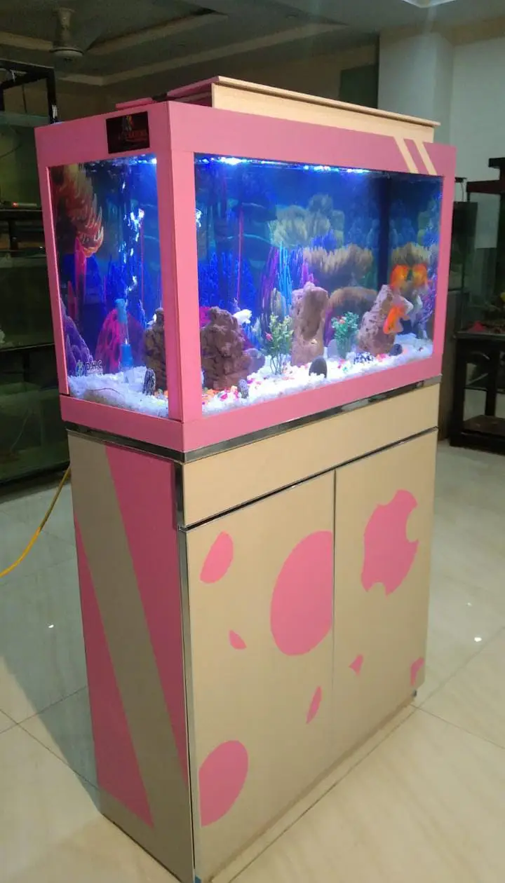 Aquariums/Aquariums For sale/Fish Aquariums/Fishes for sale — photo 11