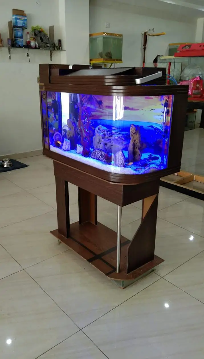 Aquariums/Aquariums For sale/Fish Aquariums/Fishes for sale — photo 12