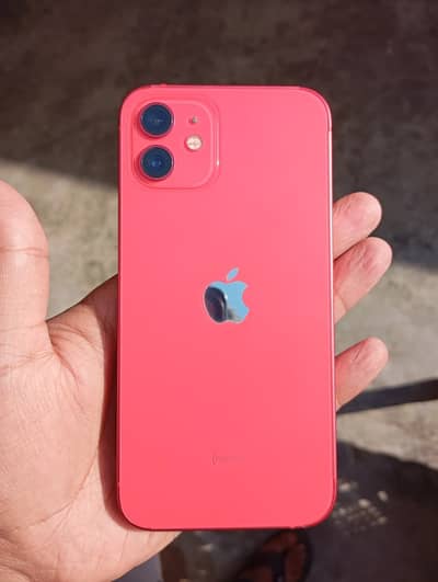 iPhone 12 256GB PTA Approved