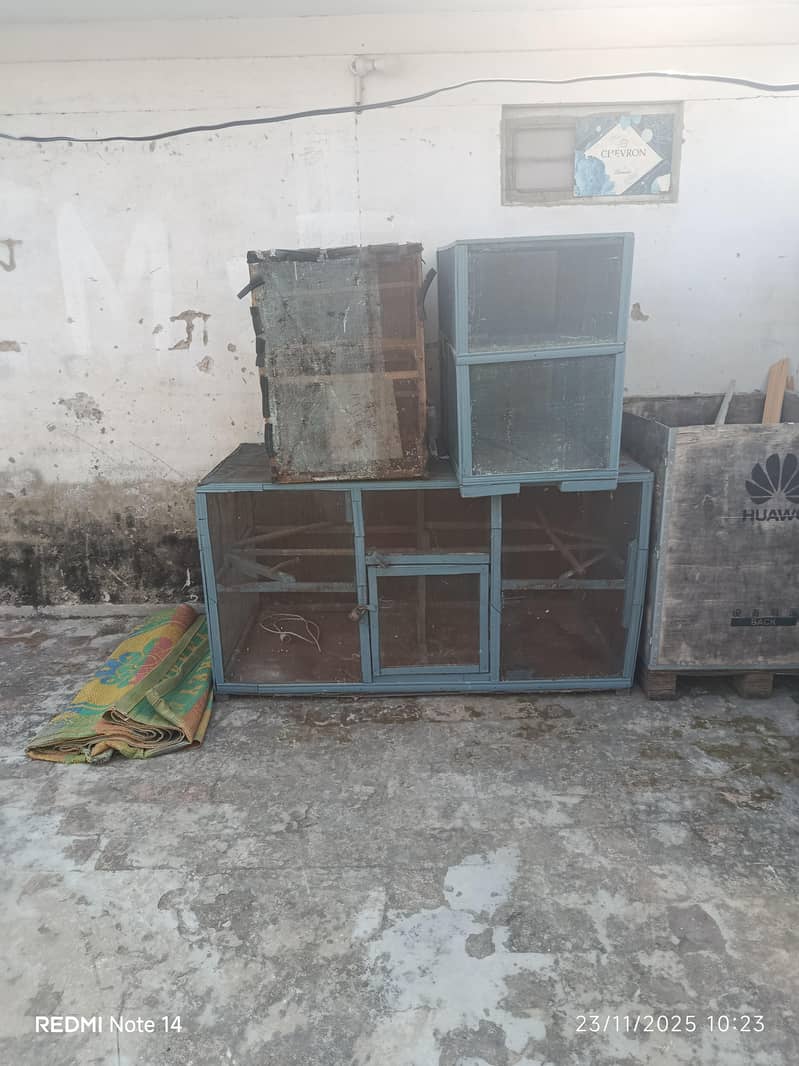 birds cages 2