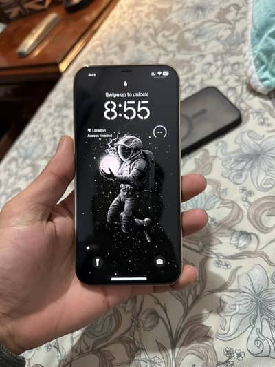 iPhone 12 Pro Max PTA Approved