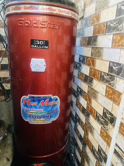 Gold star 30 gallon geyser