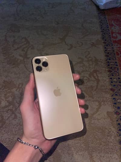 11 Pro Max 256GB