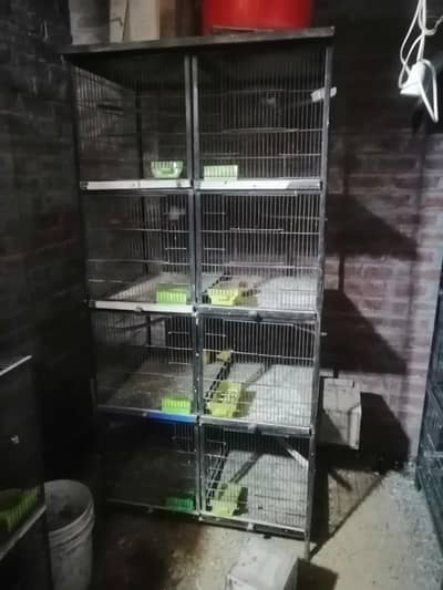 8 portion haavy angle cage with heavy Trays