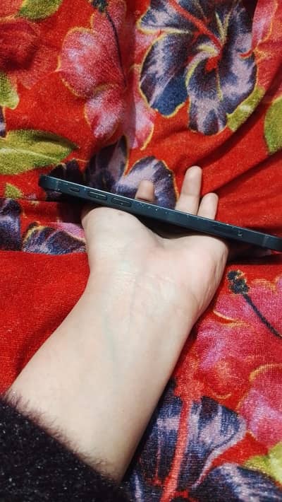 iPhone 12 jv waterpack