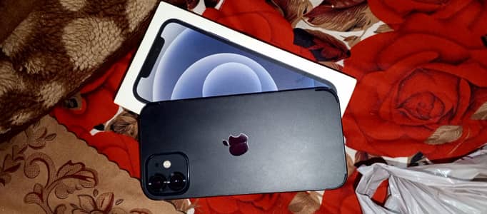 I phone 12 JV 03176718118