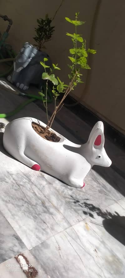 beautiful planters. . .