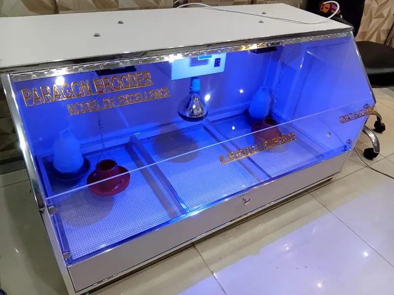 Paragon Brooder / Brooder