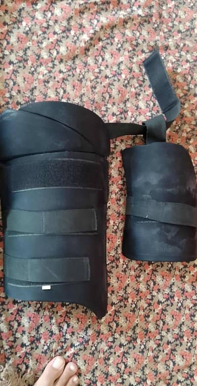 Cricket Thigh Pads