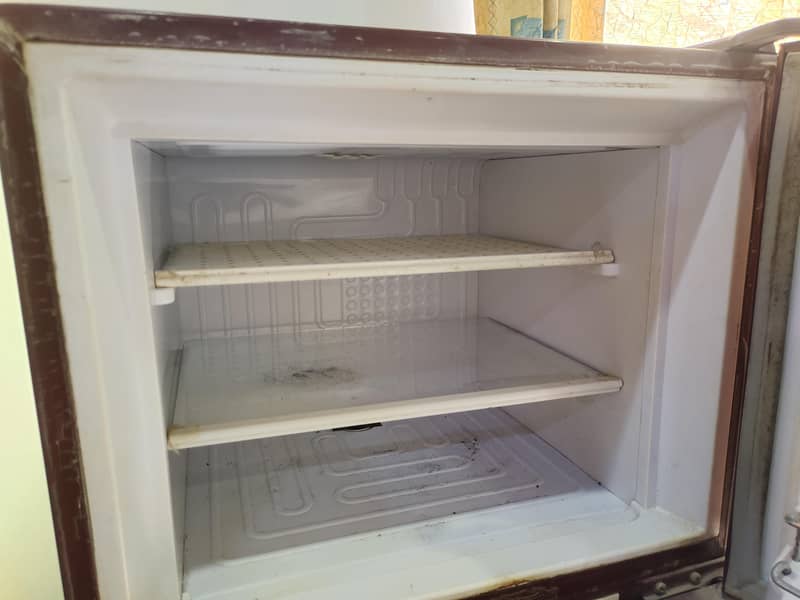 Waves Refrigerator 2