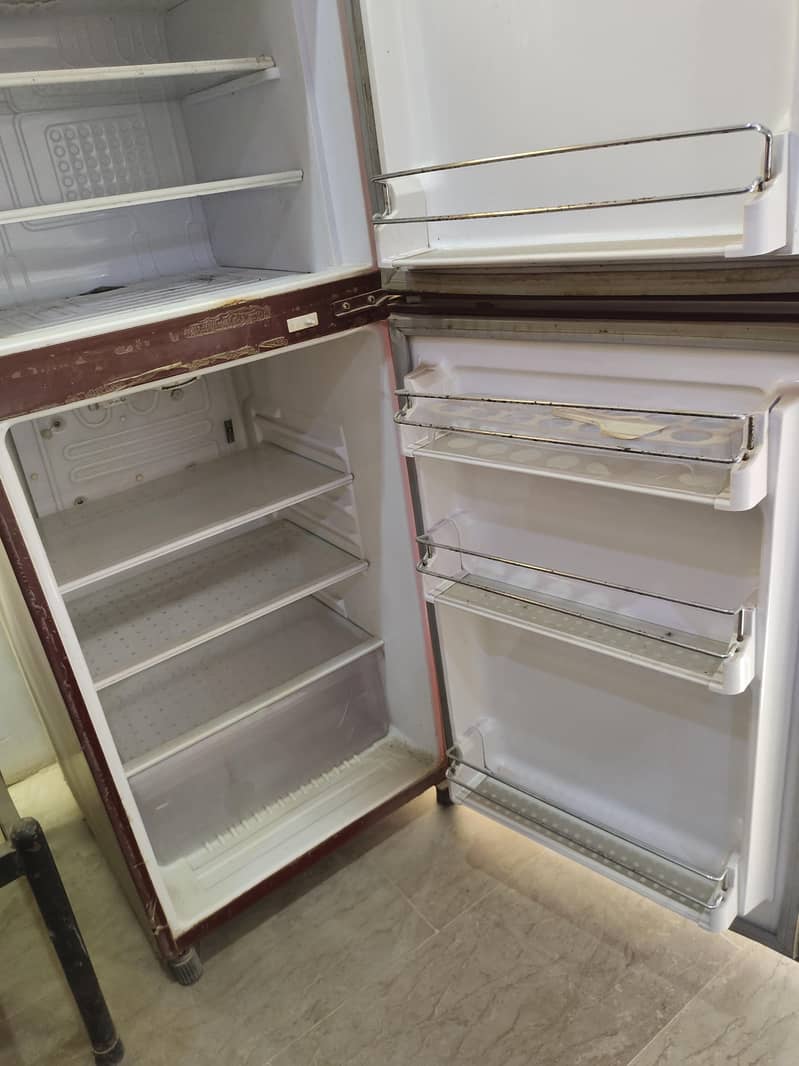Waves Refrigerator 4