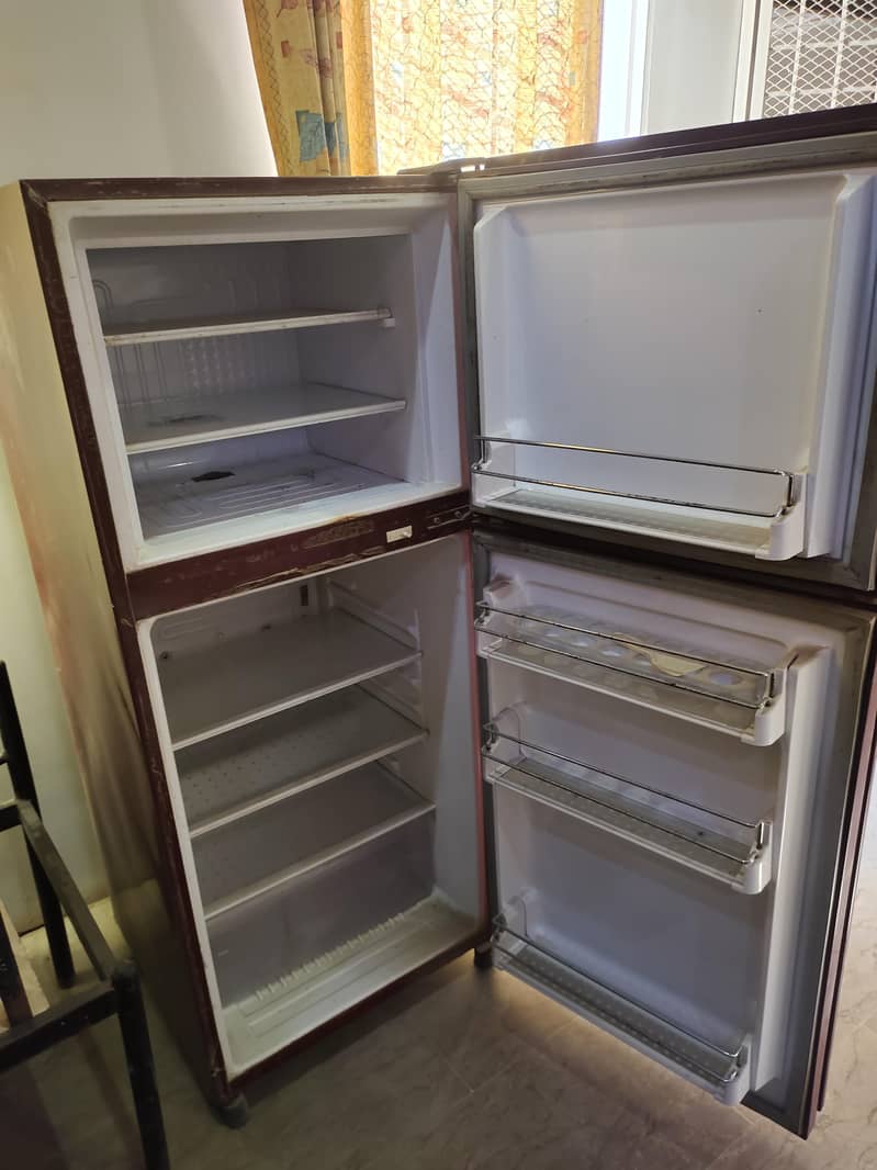 Waves Refrigerator 5