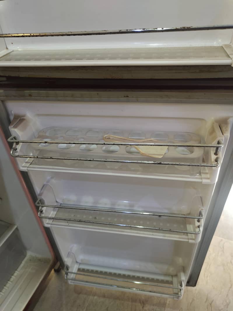 Waves Refrigerator 6