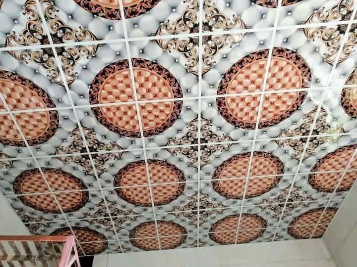 China Ceiling 3D 2
