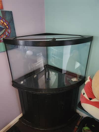 Corner Aquarium  (Cylinder)