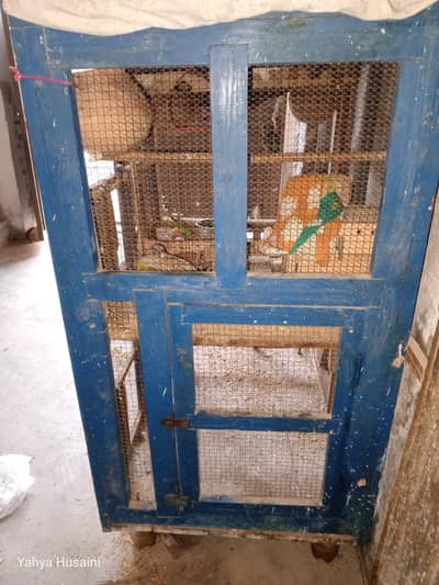 Cage 4 Portion And 5 Doors 03007905402 urgent sale