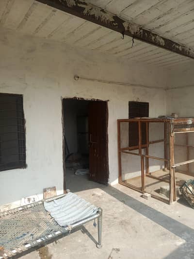 big size cage 7500  and net door 6 fott 45oo . small door 1000 ka 1