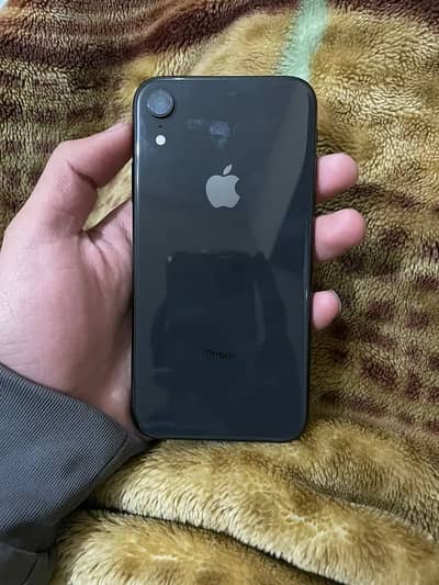 iPhone XR